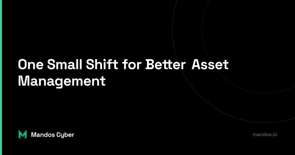 asset management cybersecurity nikoloz kokhreidze mandos