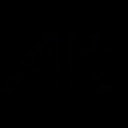 Alt Security logo