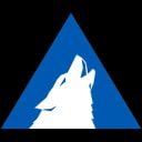 Arctic Wolf Networks Inc. logo