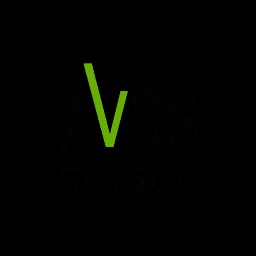 Aves Netsec logo