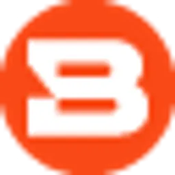 Bitsight logo