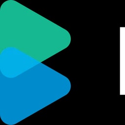 Blindspot logo