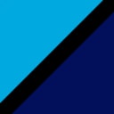Bluefin logo