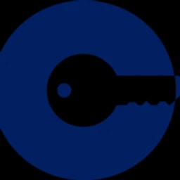 Certes Networks logo