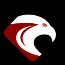 Cyber Struggle logo