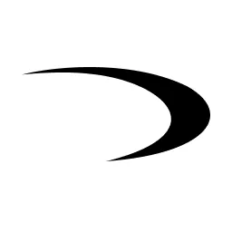 Daylight Security logo