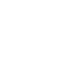HackNotice logo