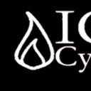 IGNITE Cyber logo