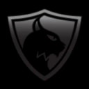 Lynx Technology Partners logo