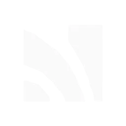 Native Security logo