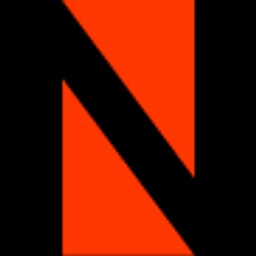 Netenrich logo