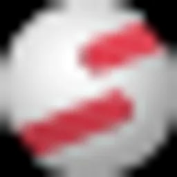 NetSfere logo