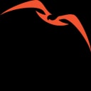 Nisos logo