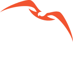 Nisos logo