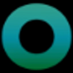 Nok Nok Labs logo
