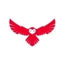owl cyber logo