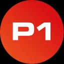 P1 Security logo