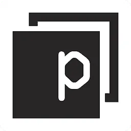 Panaseer logo