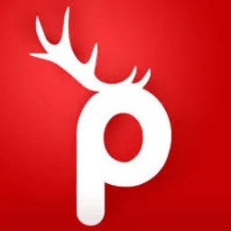 Prancer Enterprise logo