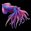 Reef Squid logo