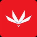 ShadowDragon logo