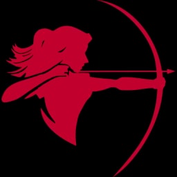 Syhunt logo