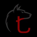 TINA Security logo