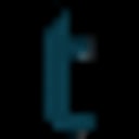 TraceSecurity logo