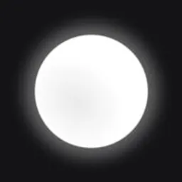 White Circle logo