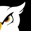 Wider Security logo