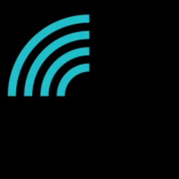 wolfSSL logo