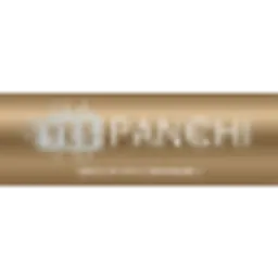 YesPanchi Tech Services Pvt. Ltd. logo