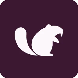 Dam Secure logo