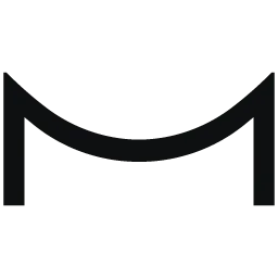 Mate Security logo
